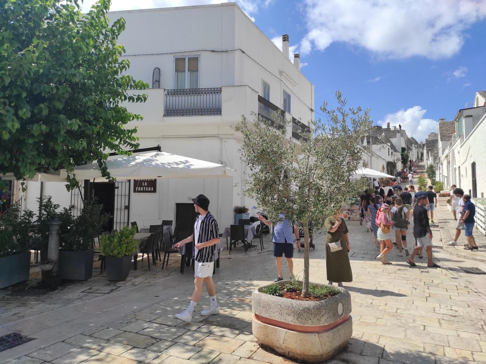 Nou La Tua Casa In Puglia Apartment อัลเบโรเบลโล ภายนอก รูปภาพ